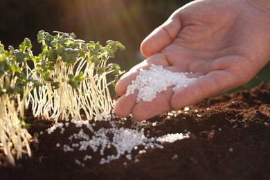 Photo of Man fertilizing soil with growing young microgreens outdoors, closeup