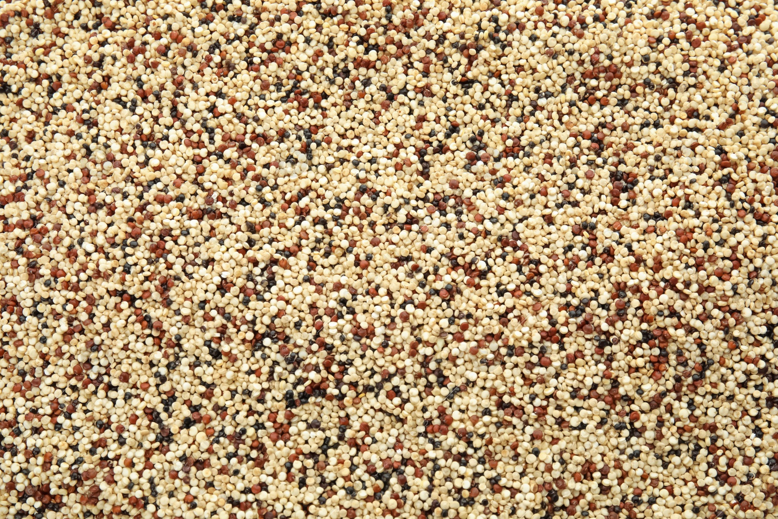 Photo of Mixed raw quinoa seeds as background, top view