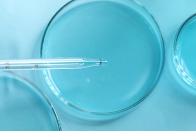 Dripping liquid from pipette into petri dish at light table, top view. Laboratory analysis