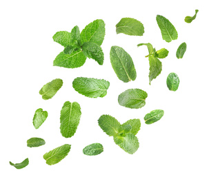 Image of Set of flying green mint leaves on white background