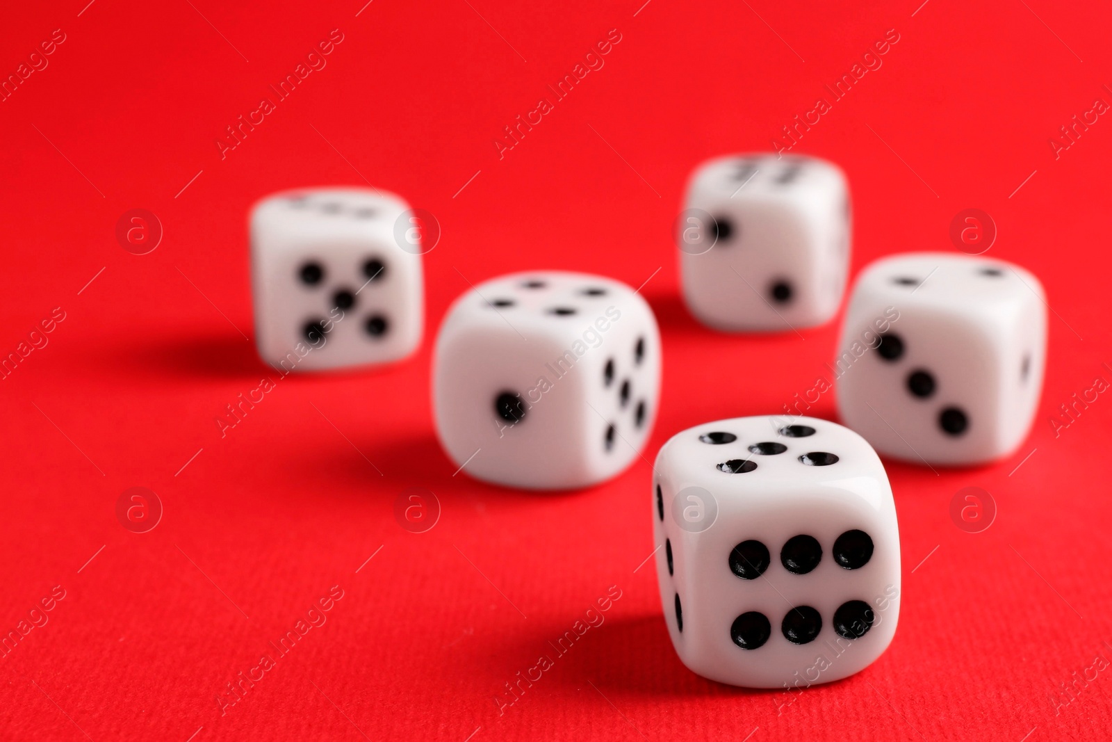 Photo of Many white game dices on red background, closeup