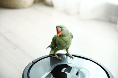 Photo of Modern robotic vacuum cleaner and Alexandrine parakeet on floor indoors