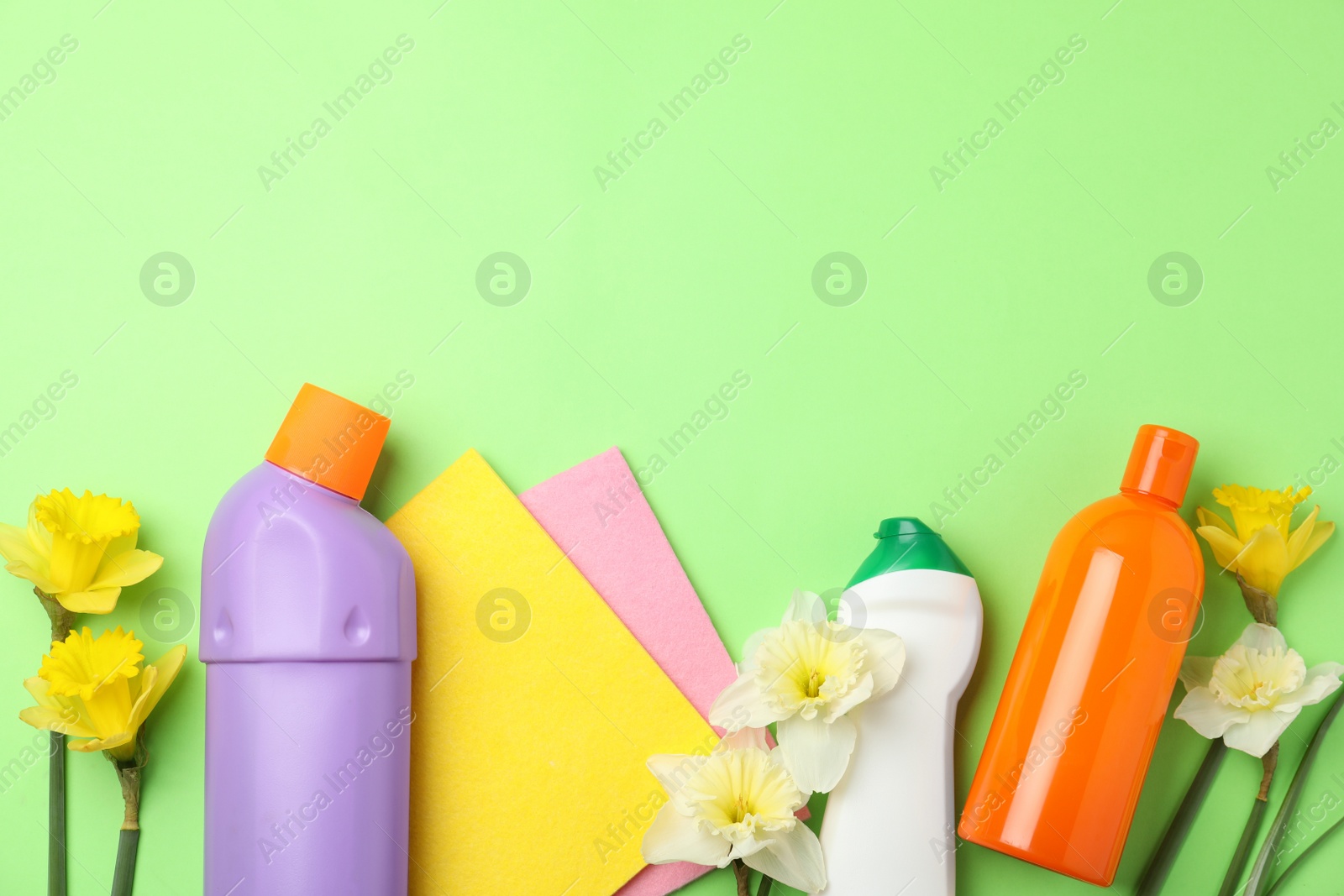 Photo of Composition with spring flowers and cleaning supplies on light green background, flat lay. Space for text