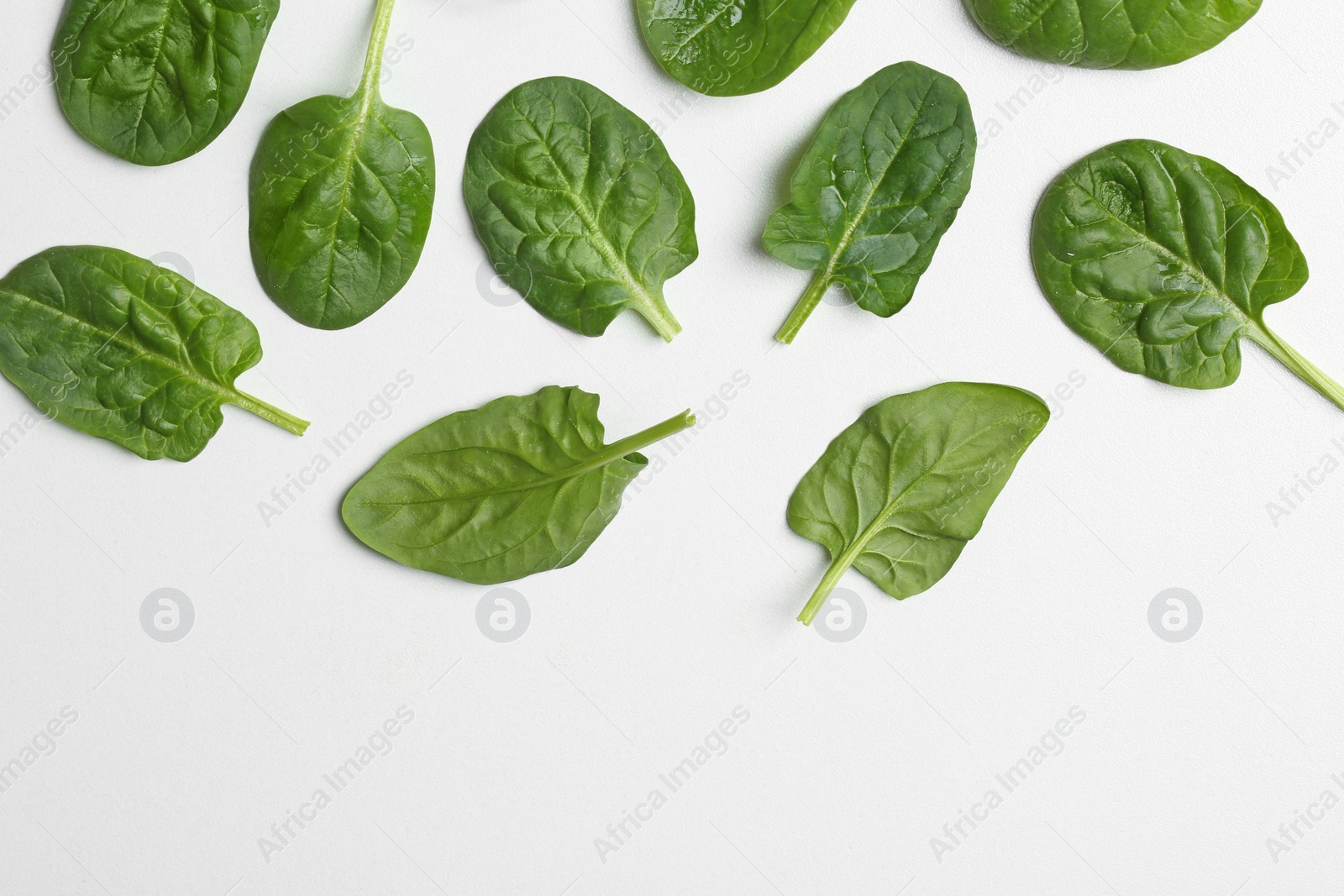 Photo of Fresh leaves of spinach isolated on white, top view