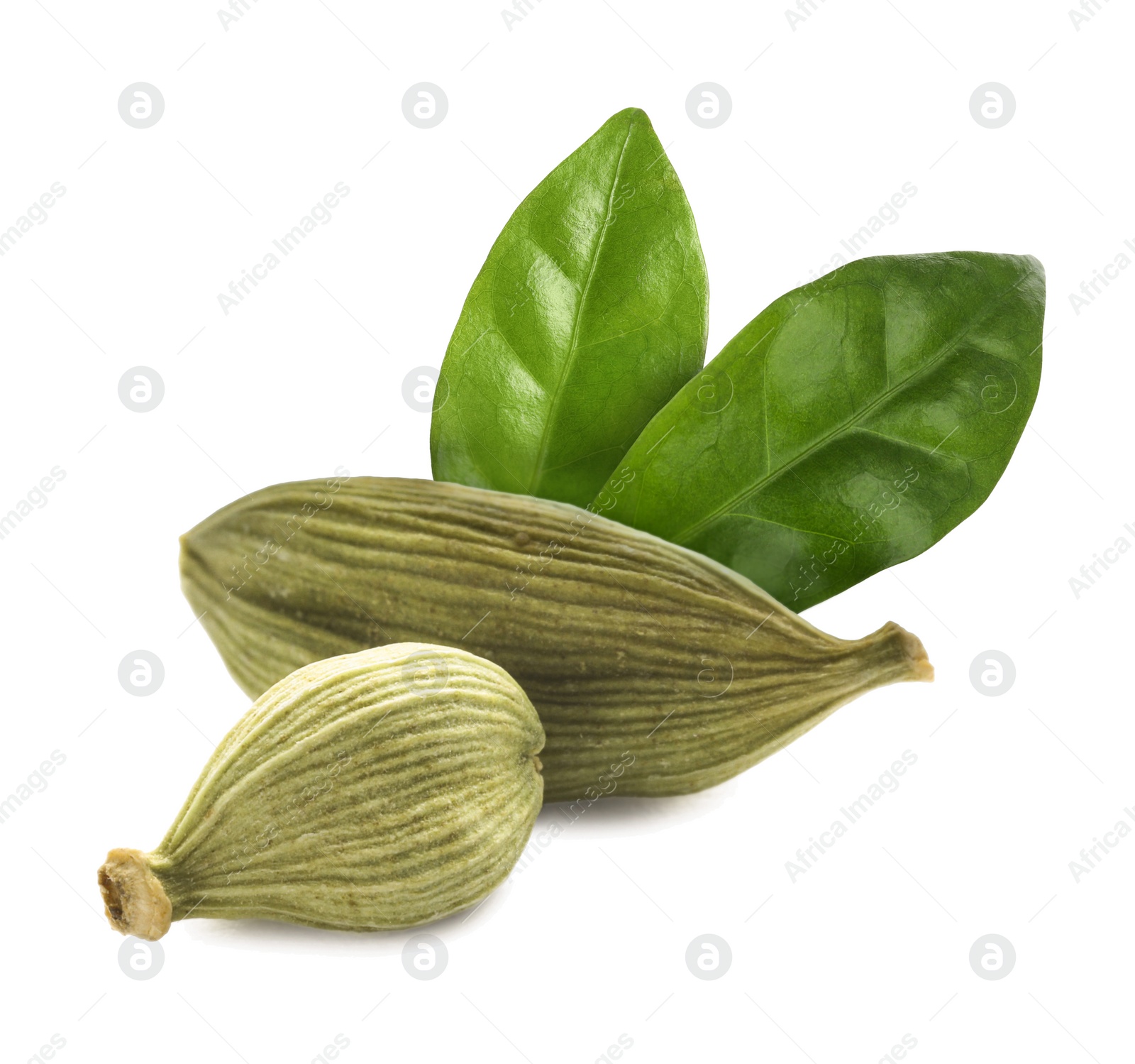 Image of Dry cardamom pods and green leaves on white background