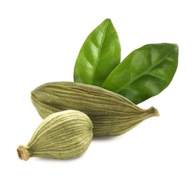 Image of Dry cardamom pods and green leaves on white background