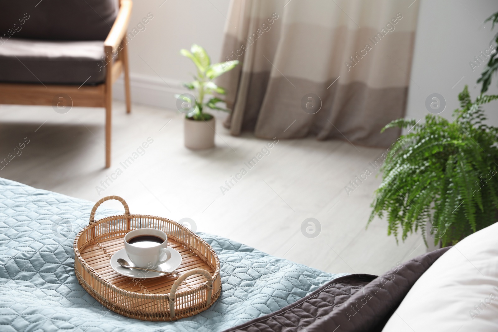 Photo of Cup of coffee on bed in room decorated with green plants. Home design ideas