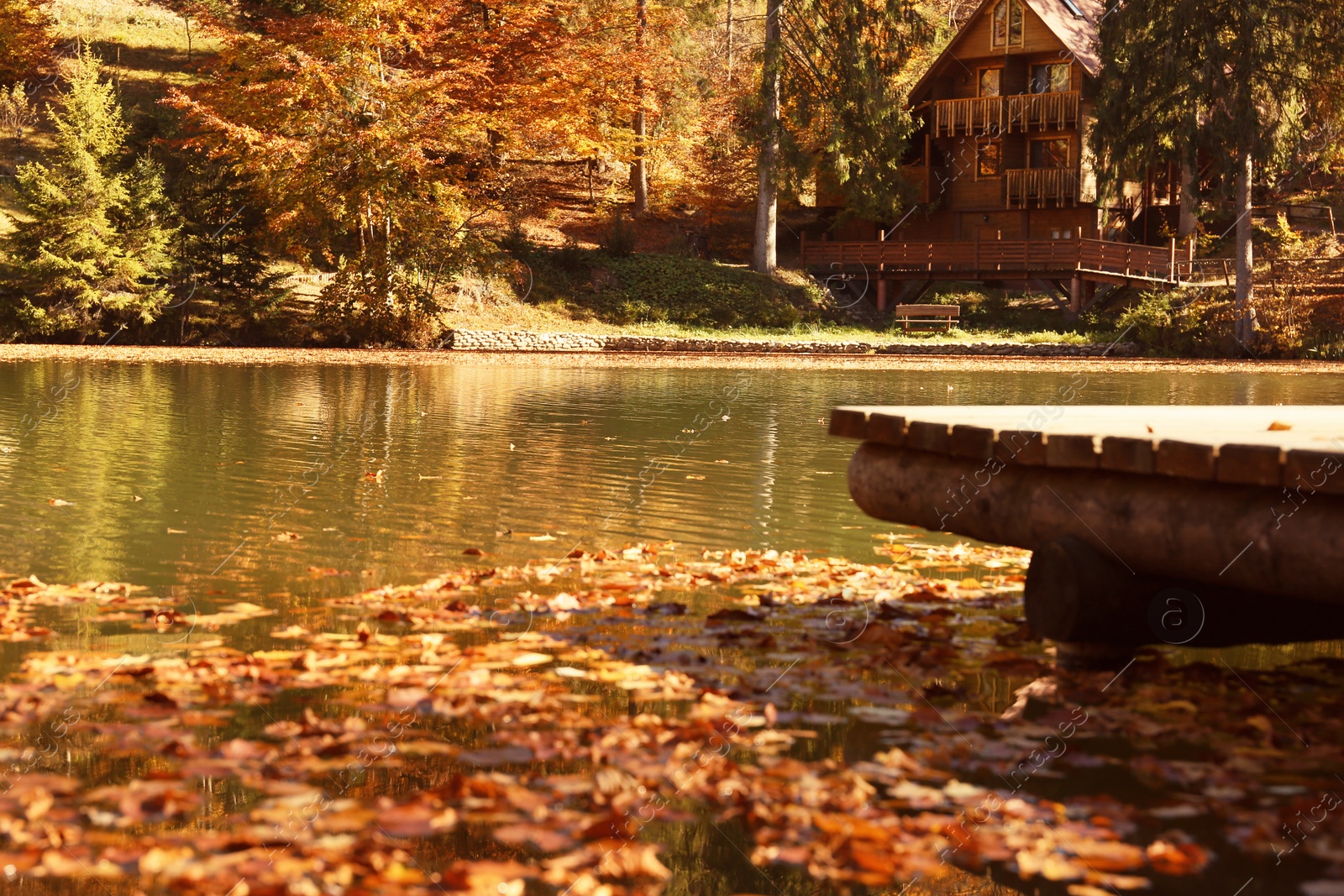 Photo of Beautiful landscape with country house, forest and river on sunny day