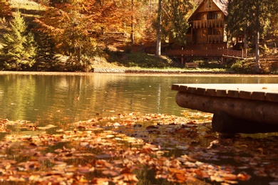 Beautiful landscape with country house, forest and river on sunny day