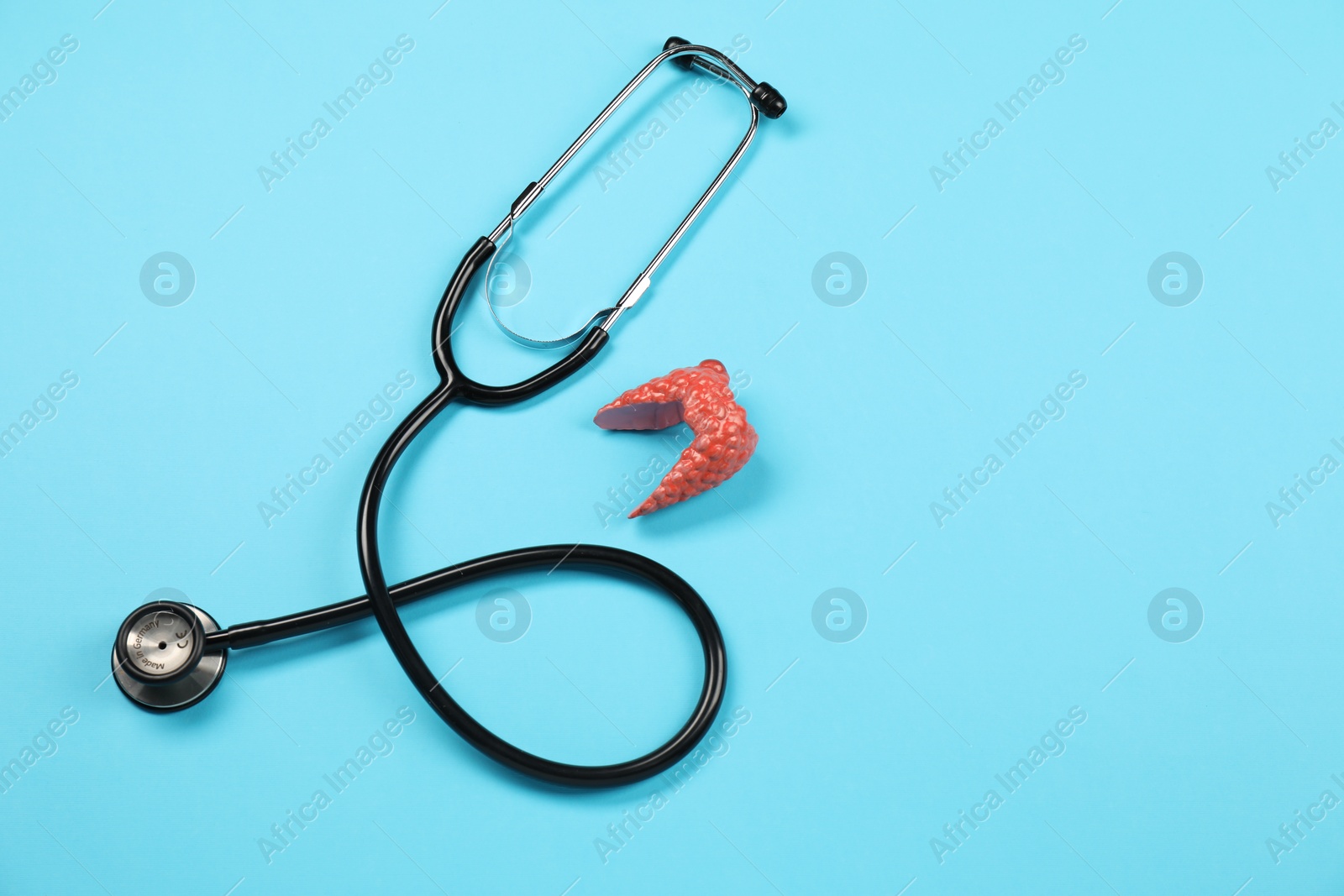 Photo of Endocrinology. Stethoscope and model of thyroid gland on light blue background, top view. Space for text