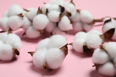 Photo of Branch with cotton flowers on pink background, closeup