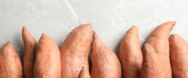 Many sweet potatoes on light grey marble background. Banner design