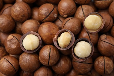 Photo of Tasty Macadamia nuts as background, top view