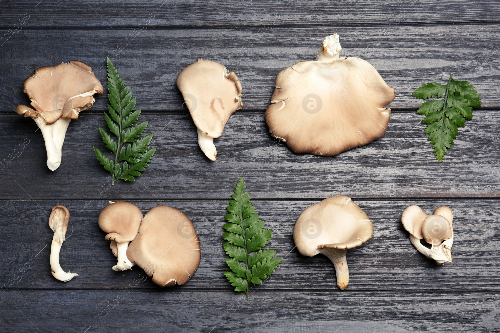 Photo of Flat lay composition with oyster mushrooms and leaves on wooden background