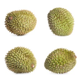 Set with ripe durians on white background