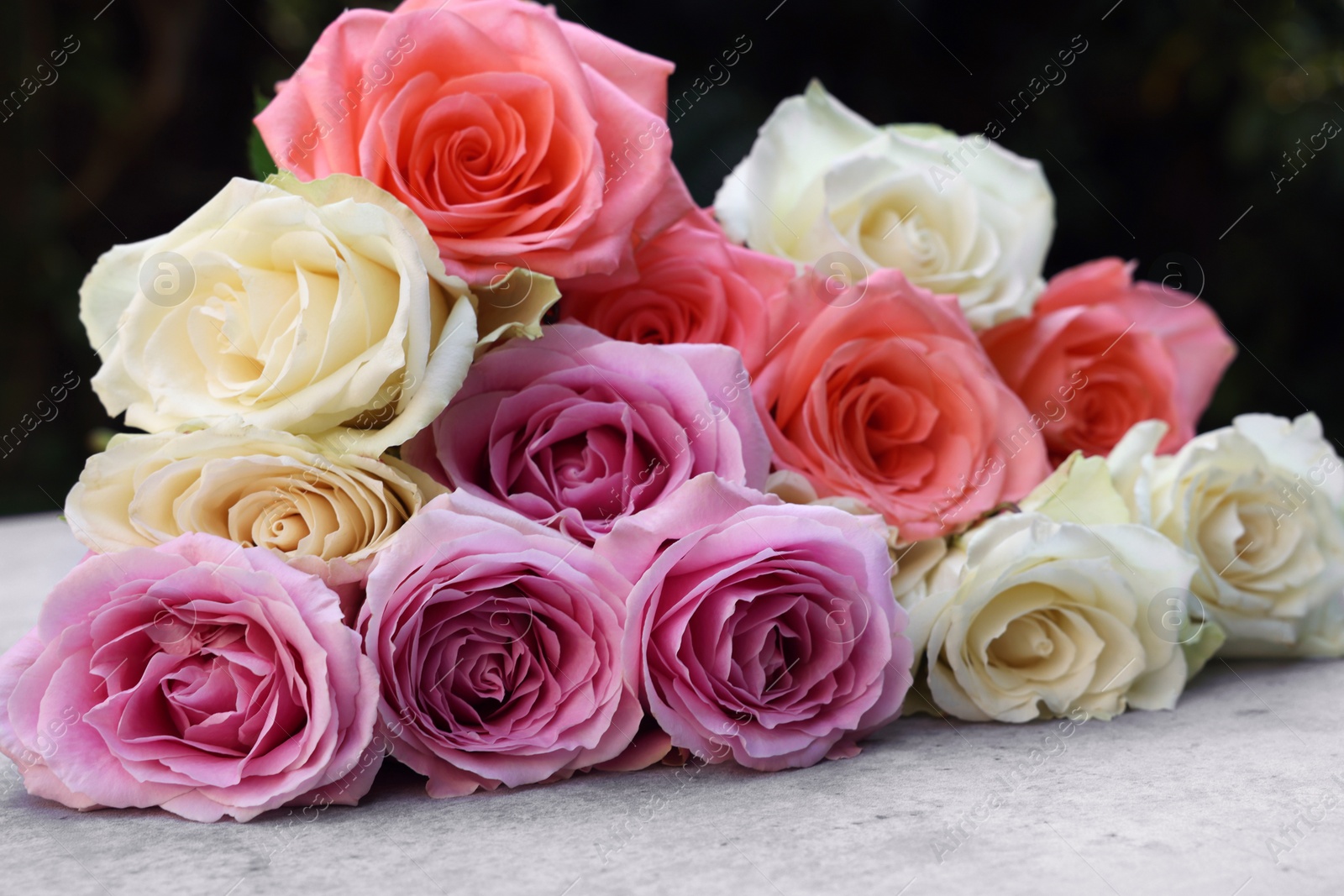 Photo of Beautiful bouquet of roses on light grey table outdoors, closeup