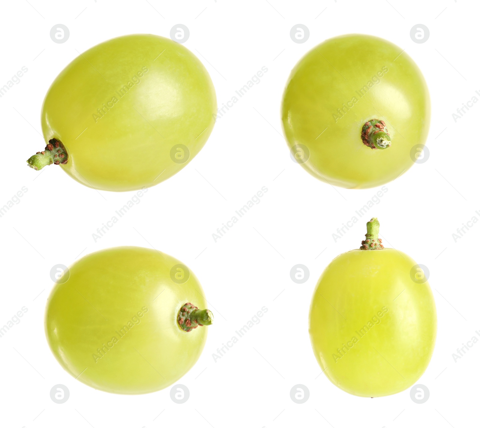 Image of Set of fresh grapes on white background