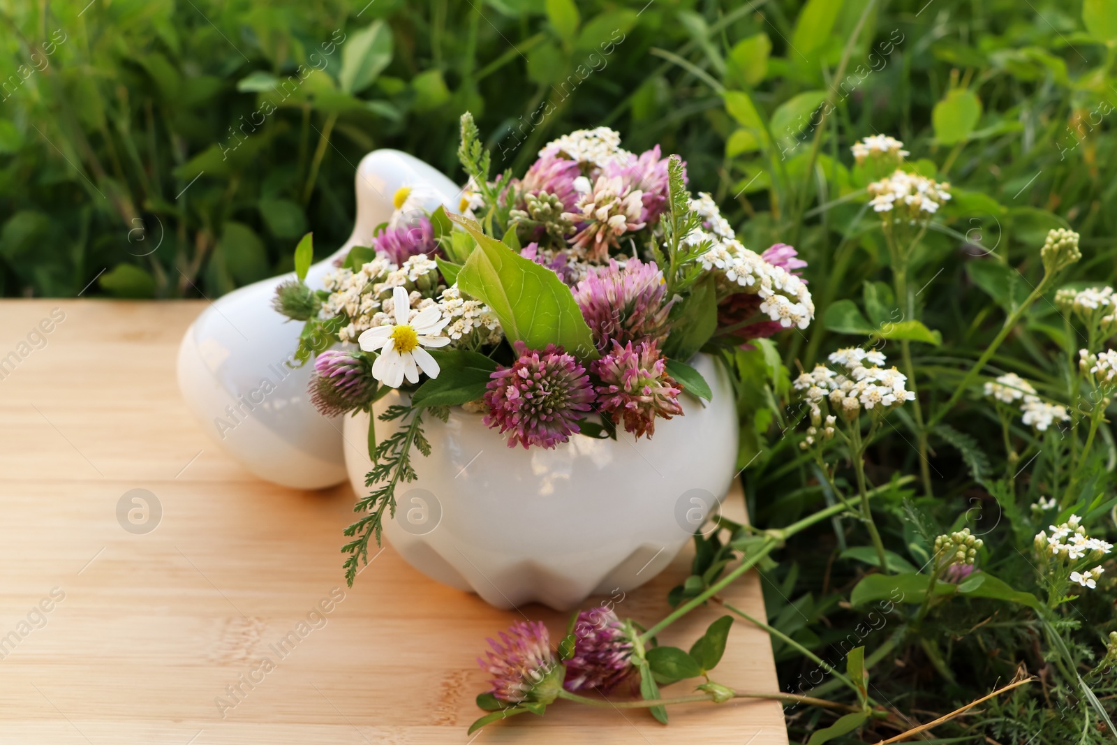 Photo of Ceramic mortar with pestle, different wildflowers and herbs on green grass outdoors