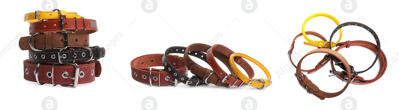 Image of Set with different leather dog collars on white background. Banner design