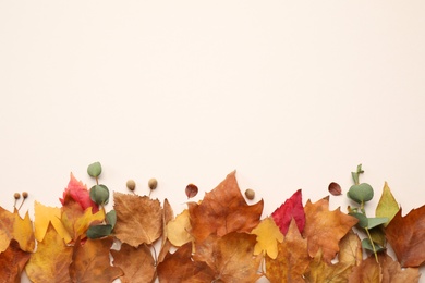 Flat lay composition with autumn leaves and space for text on white background