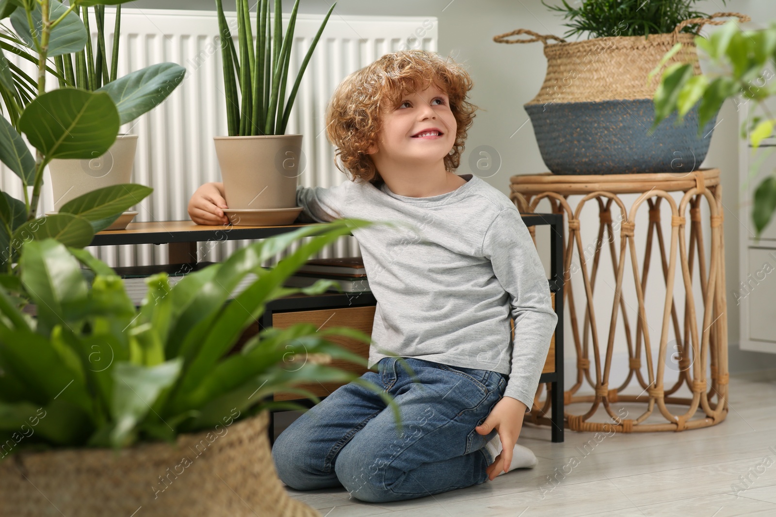 Photo of Cute little boy near beautiful green plants at home. House decor