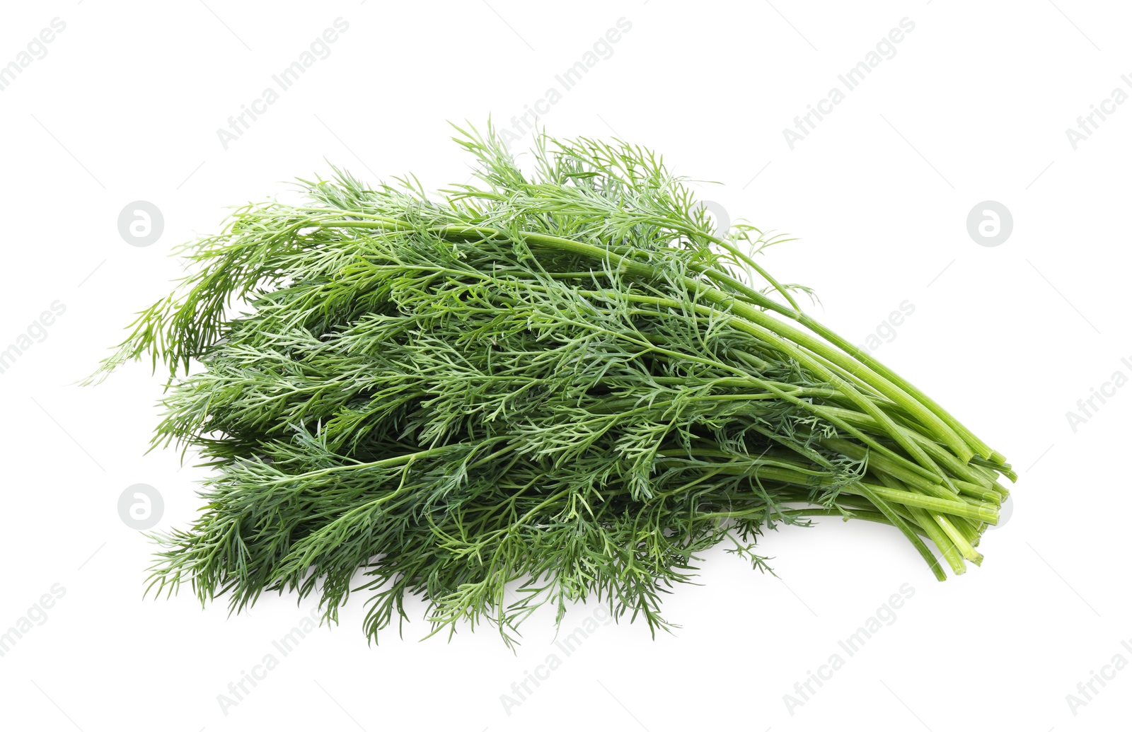 Photo of Fresh green dill branches isolated on white