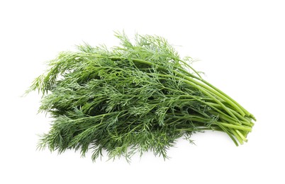 Fresh green dill branches isolated on white