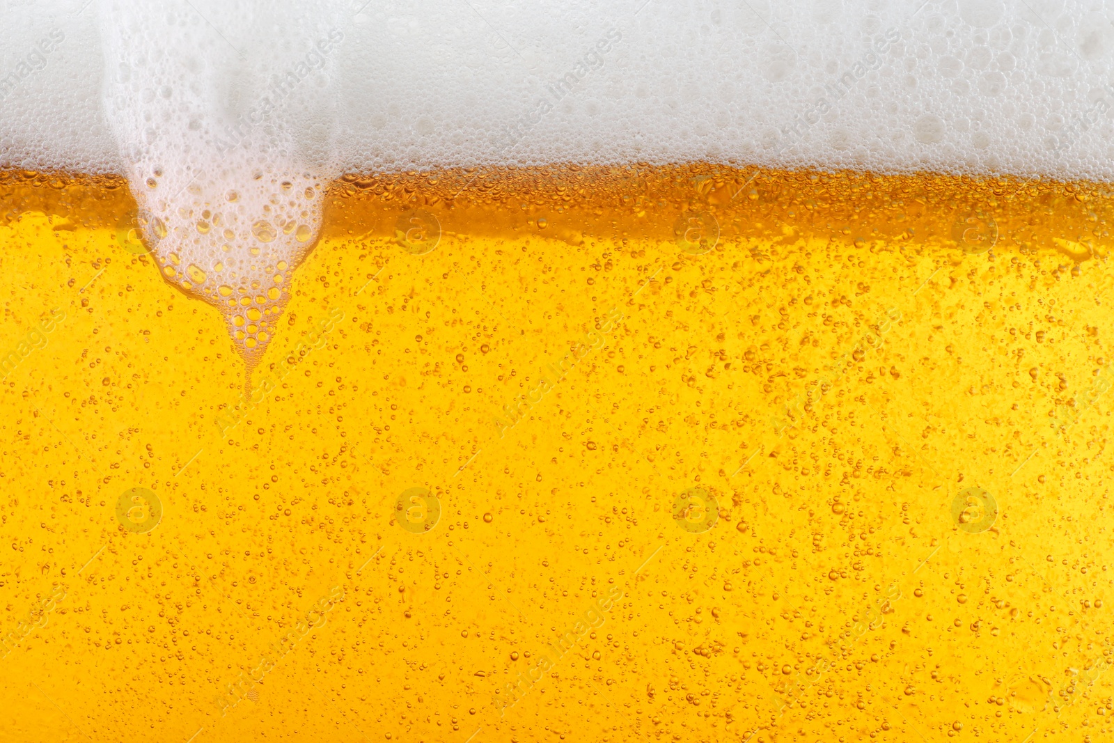 Photo of Glass of tasty beer with foam, closeup