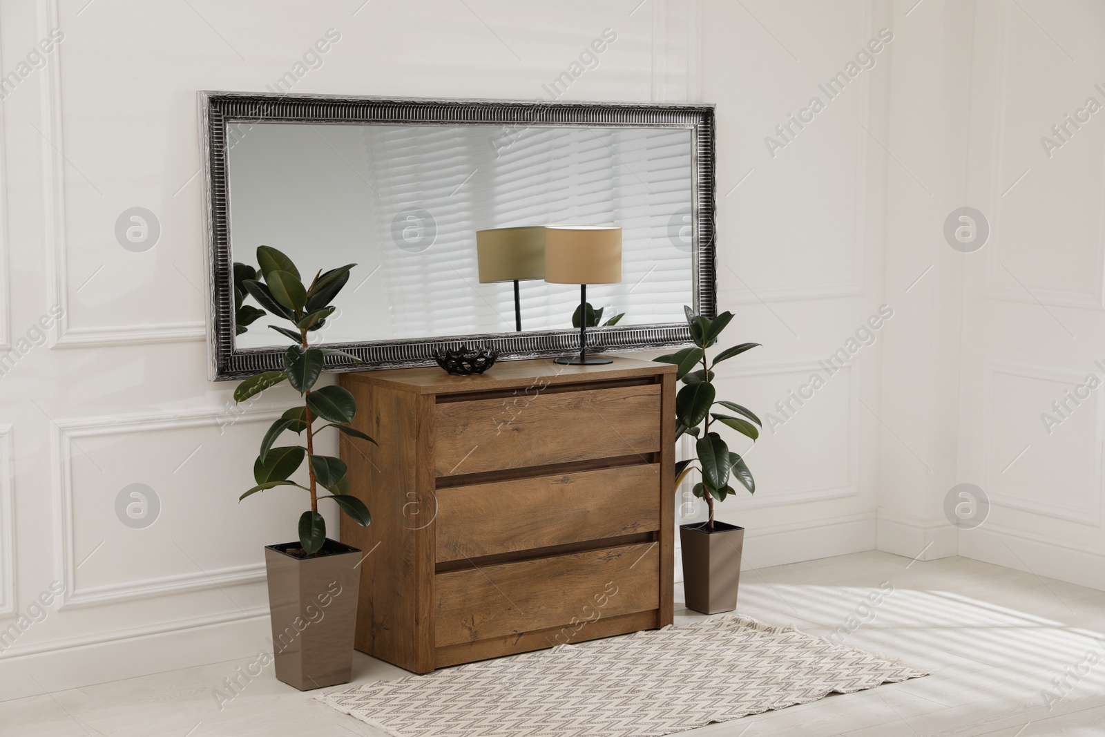 Photo of Wooden chest of drawers with lamp, plants and mirror in room. Interior design
