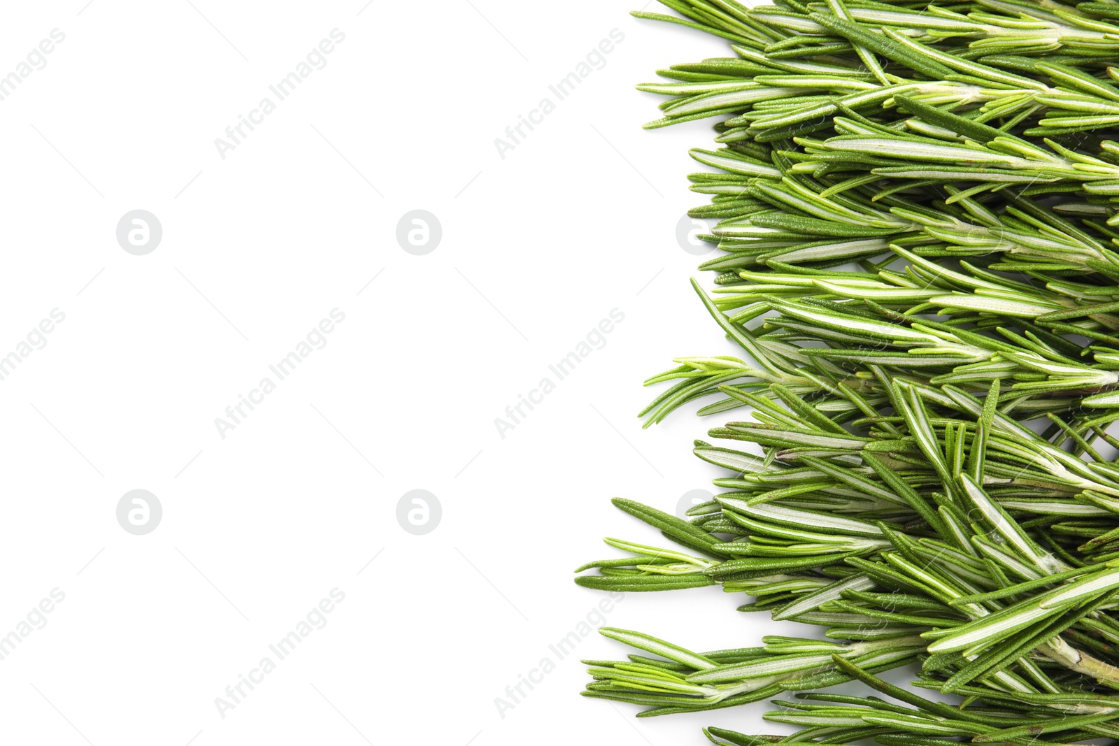 Photo of Fresh rosemary twigs on white background, top view