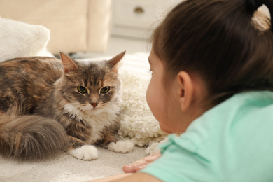 Photo of Cute little girl with cat lying on carpet at home, closeup. First pet