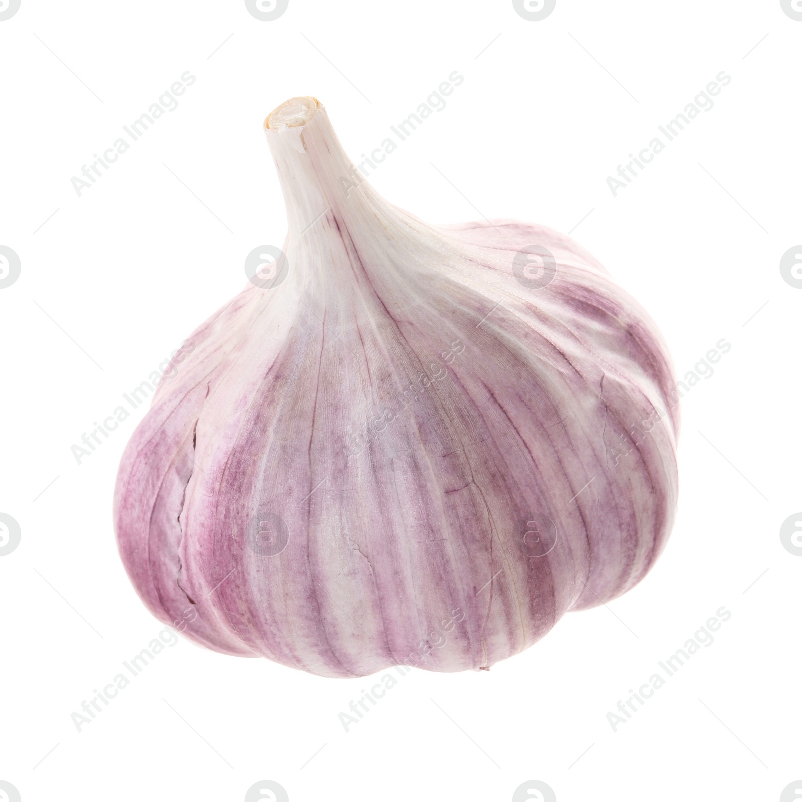 Photo of Unpeeled head of fresh garlic isolated on white