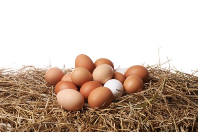 Fresh chicken eggs on dried straw against white background