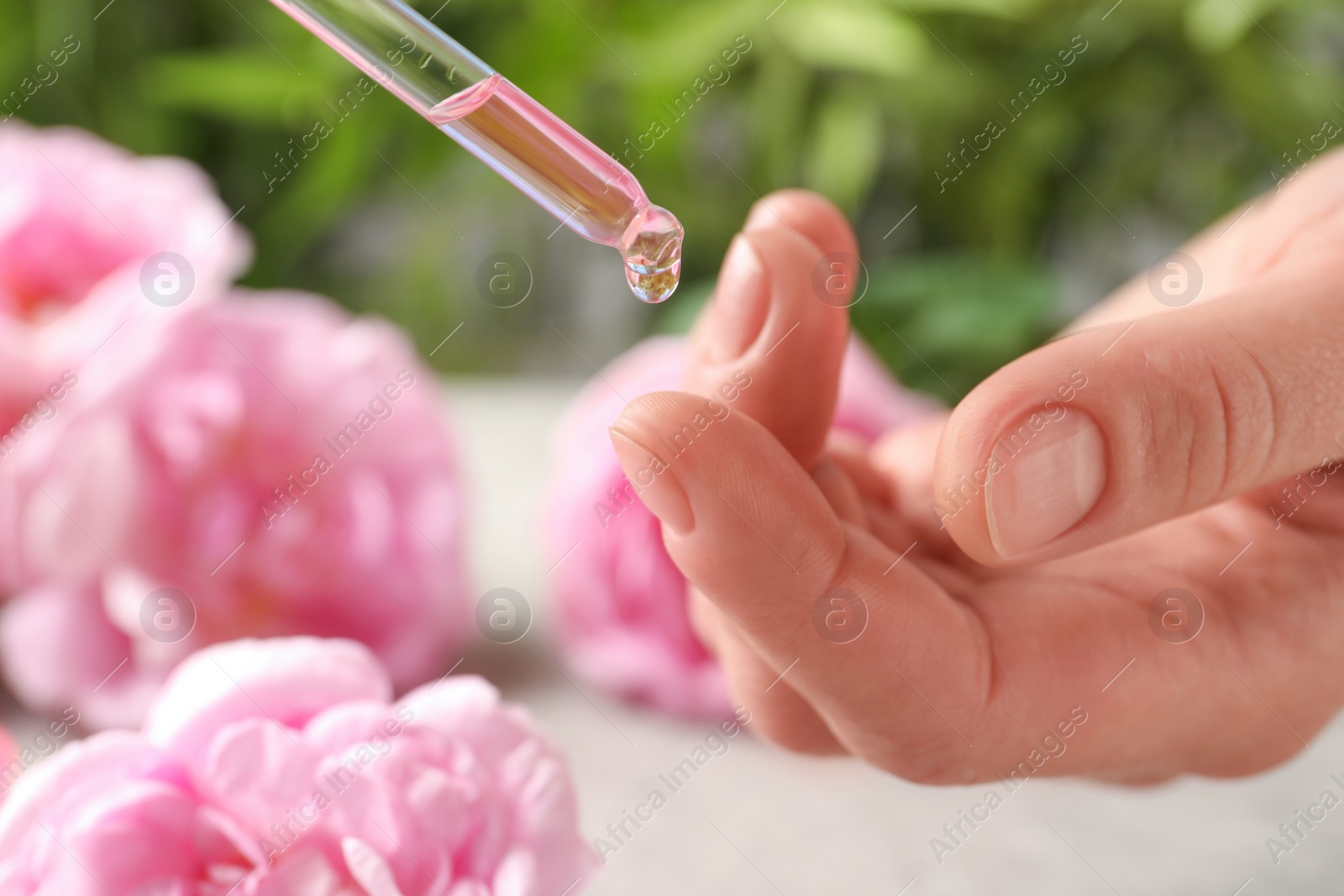 Photo of Woman dripping rose essential oil on finger, closeup
