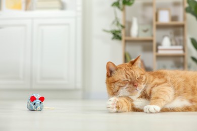 Photo of Cute ginger cat playing sisal toy mouse at home, space for text