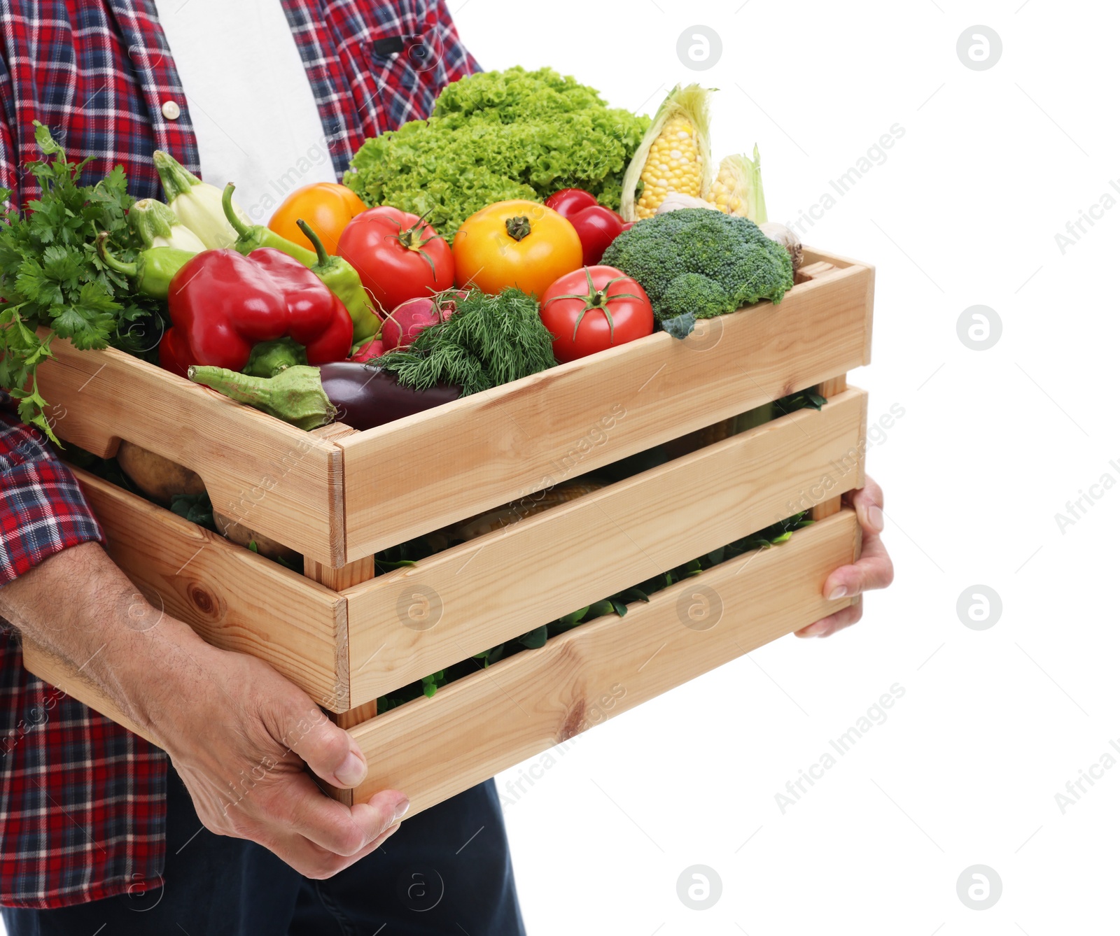 Photo of Harvesting season. Farmer holding wooden crate with vegetables on white background, closeup