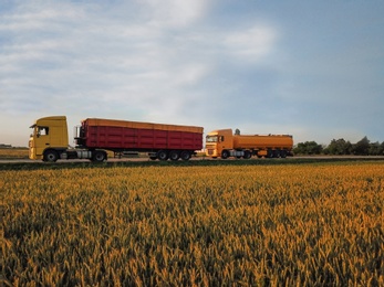 Modern bright trucks on road near wheat field