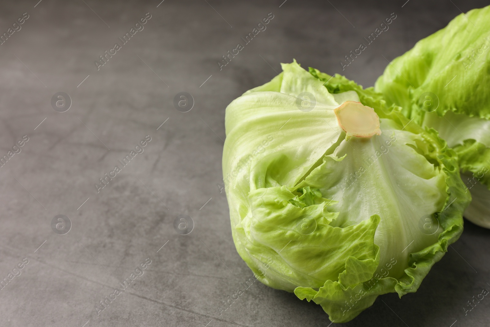 Photo of Fresh green iceberg lettuce heads on grey table, closeup. Space for text