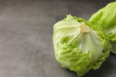 Fresh green iceberg lettuce heads on grey table, closeup. Space for text