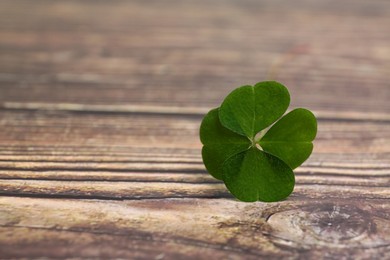 Photo of Beautiful green four leaf clover on wooden table, closeup. Space for text