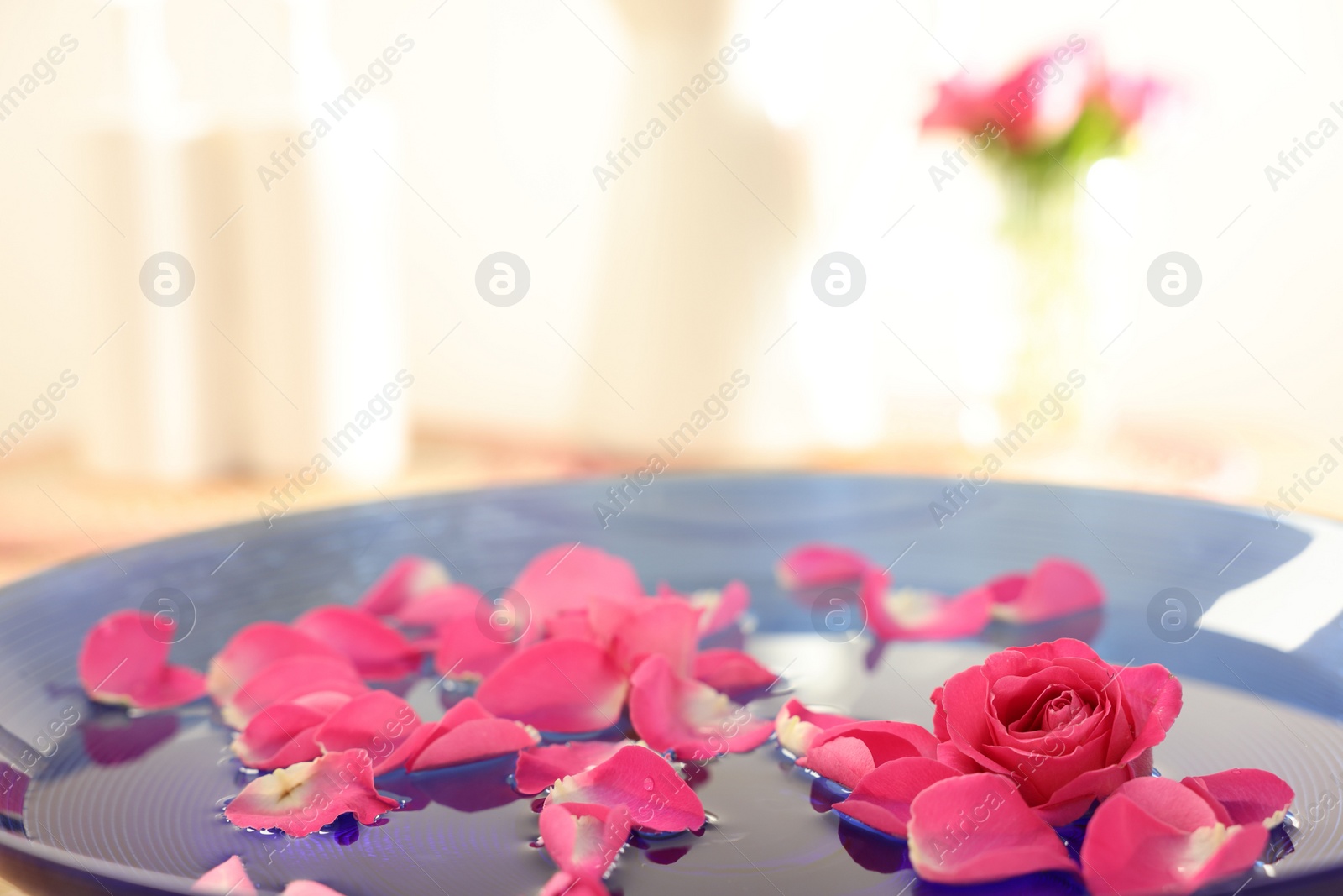 Photo of Pink roses and petals in bowl with water, closeup