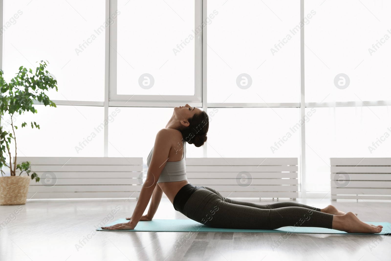 Photo of Young woman practicing high cobra asana in yoga studio. Bhujangasana pose