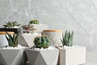 Photo of Beautiful succulent plants in stylish flowerpots on table against grey background. Home decor