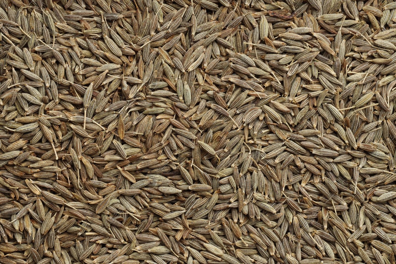 Photo of Aromatic caraway seeds as background, top view