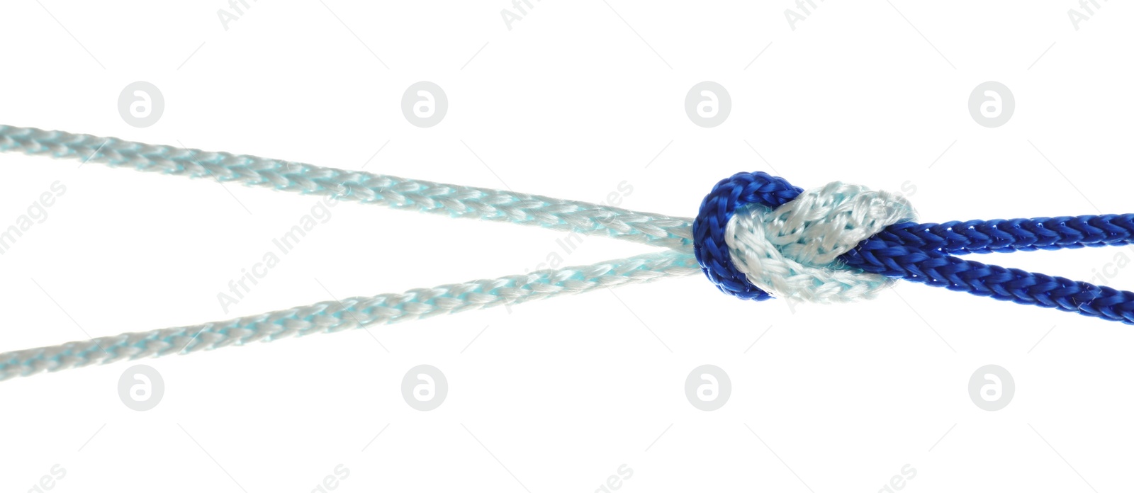 Photo of Colorful ropes tied together with knot isolated on white. Unity concept