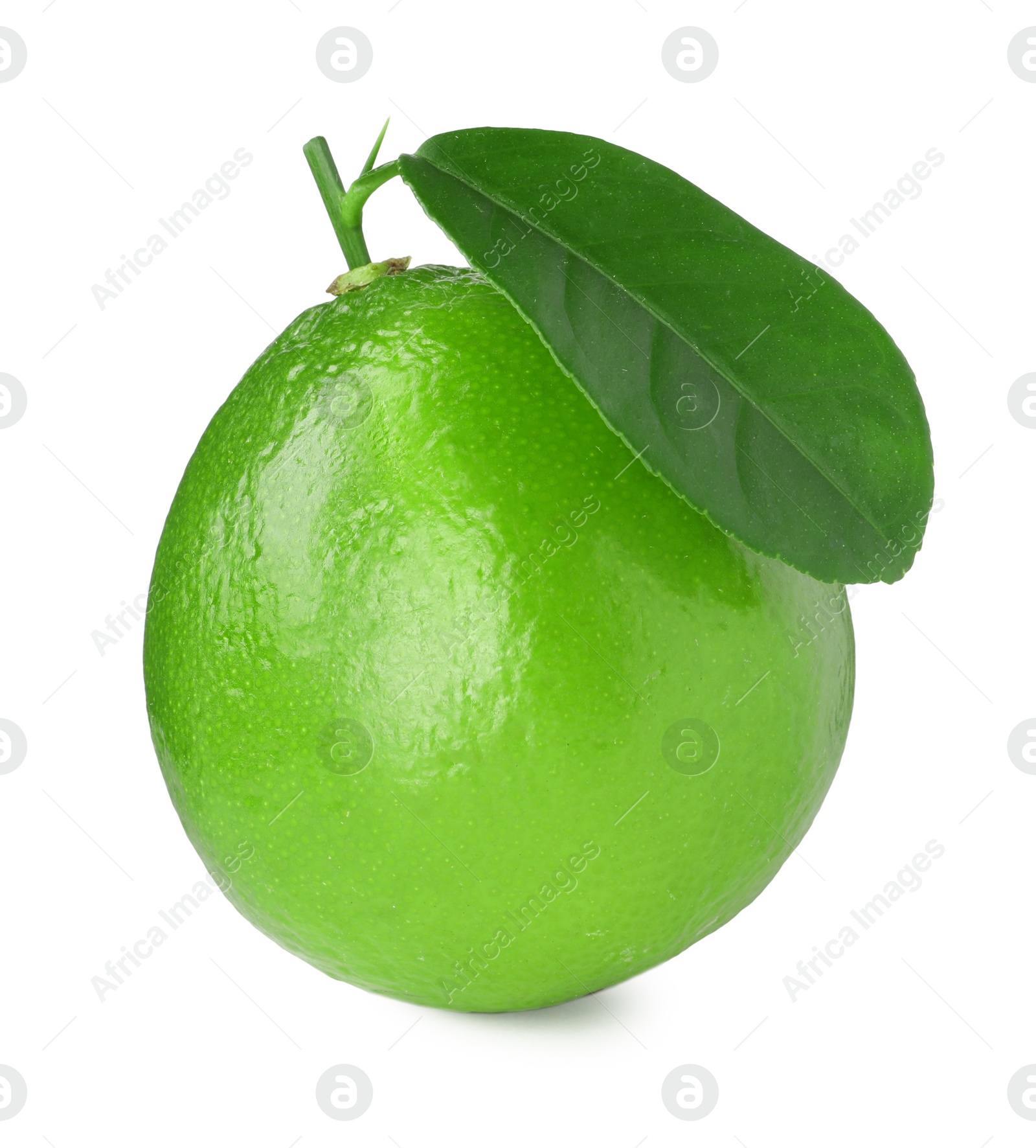 Photo of Fresh green ripe lime with leaf isolated on white