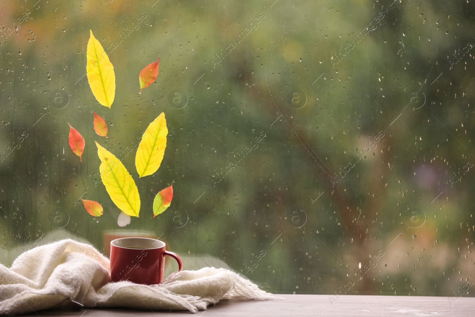 Photo of Beautiful composition with autumn leaves and cup of drink on windowsill, space for text. Rainy weather