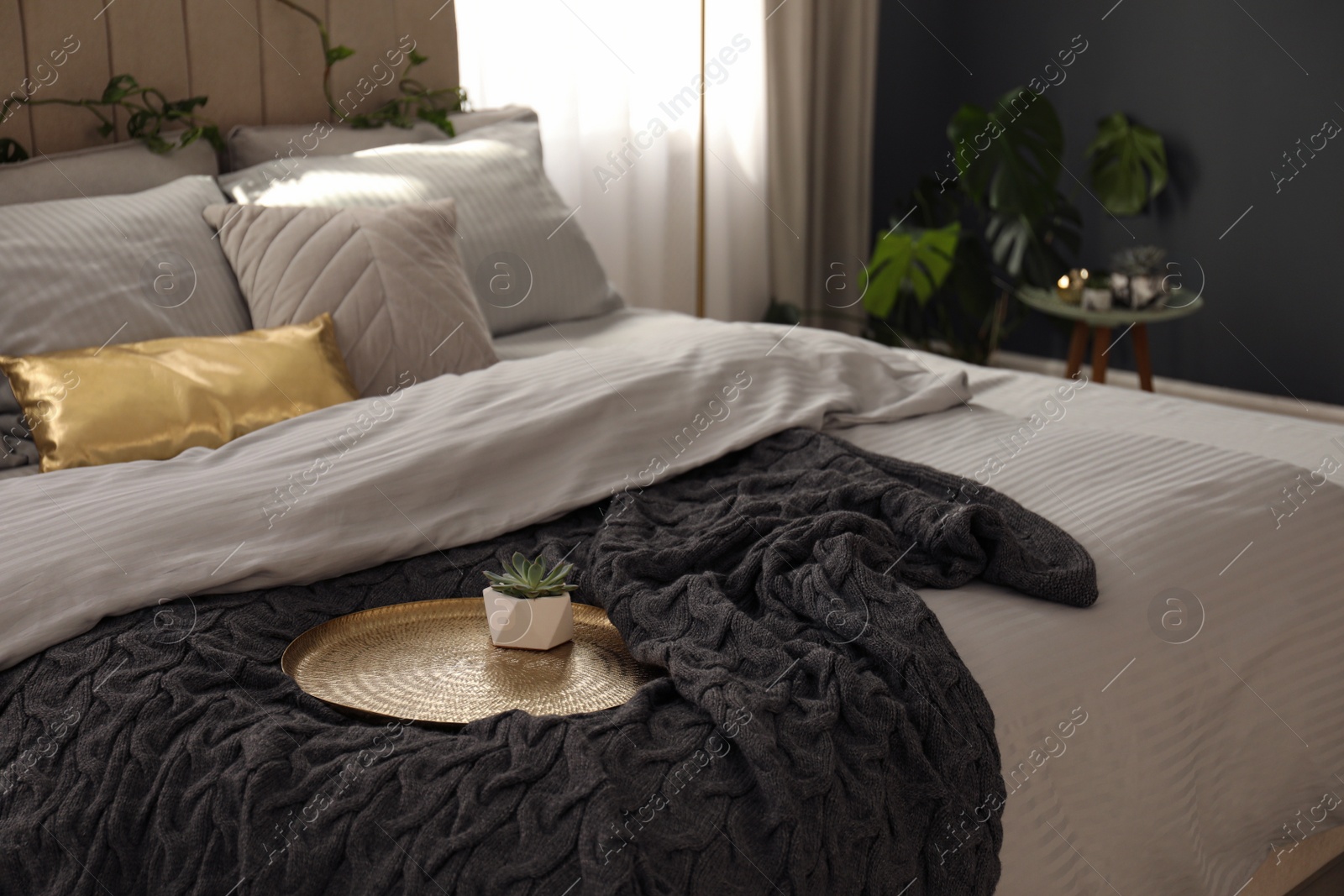 Photo of Houseplant and knitted black plaid on bed indoors