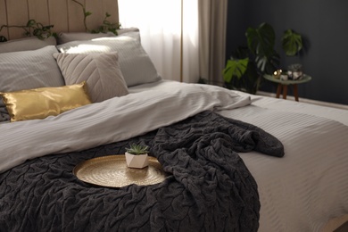 Photo of Houseplant and knitted black plaid on bed indoors