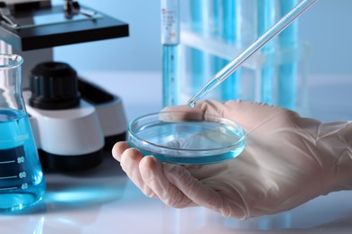 Scientist dripping liquid from pipette into petri dish in laboratory, closeup